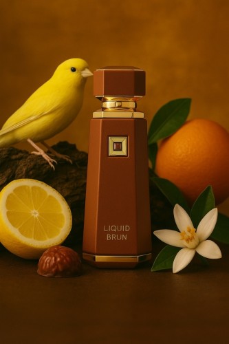 French Avenue Liquid Brun 100ml