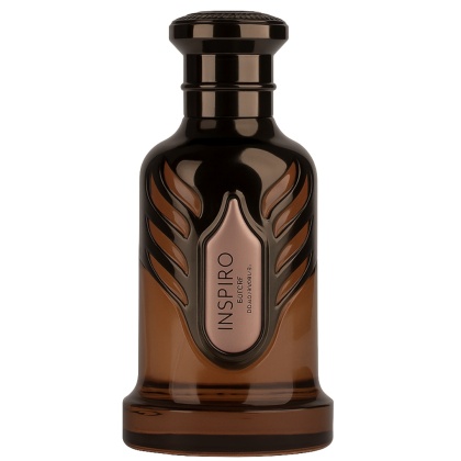 Riiffs Inspiro Men100ml dla Mężczyzn